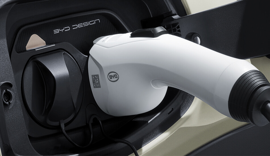 BYD Dolphin